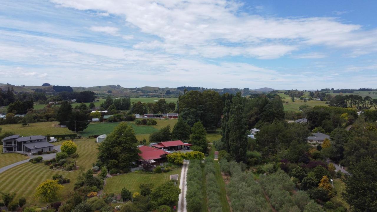 Olivista Bed & Breakfast Masterton Bagian luar foto